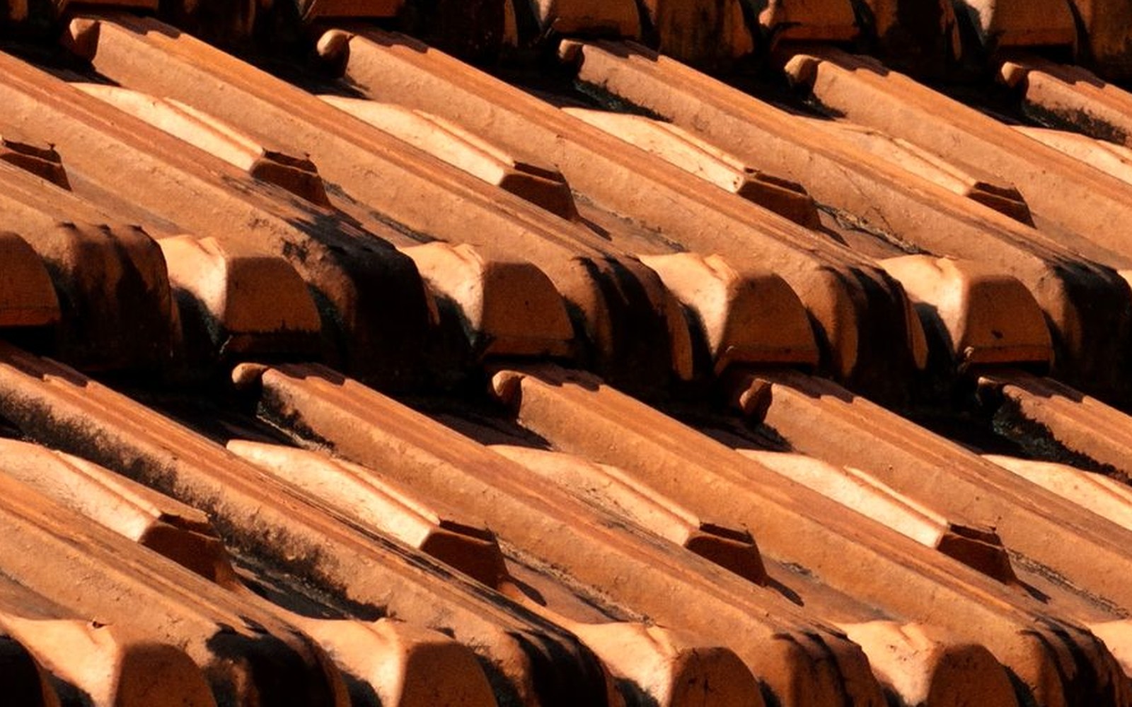 Close-up of flat interlocking roof tiles, showing the ribs and grooves that lock each tile to the next